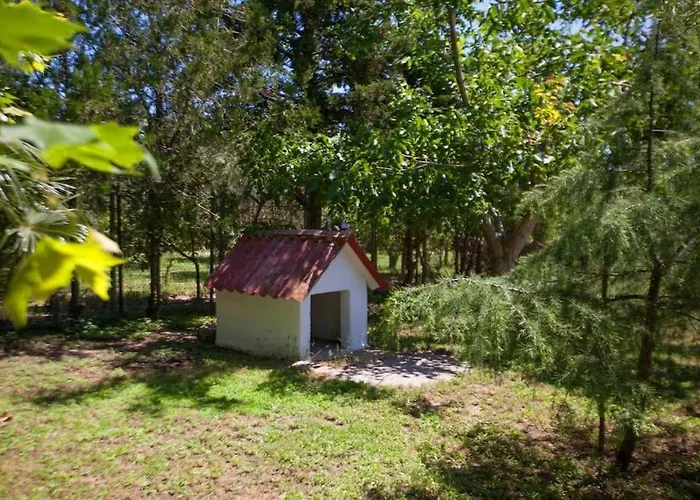 Wonderful With Huge Yard, At Potamos Villa