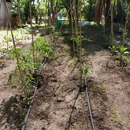 Wonderful With Huge Yard, At Potamos Willa *